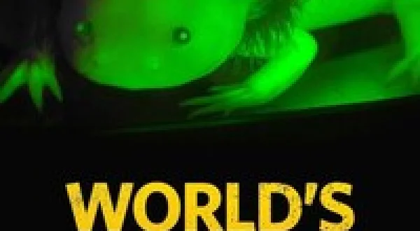 World's Weirdest