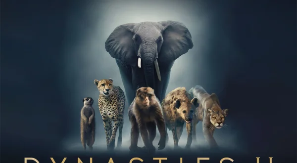 Dynasties