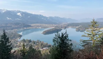 Zurück zur Natur