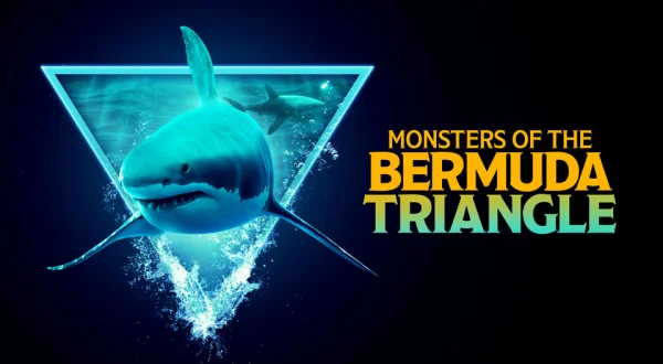 Monsters of the Bermuda Triangle