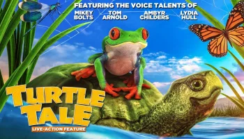 Turtle Tale