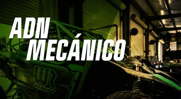 ADN mecánico