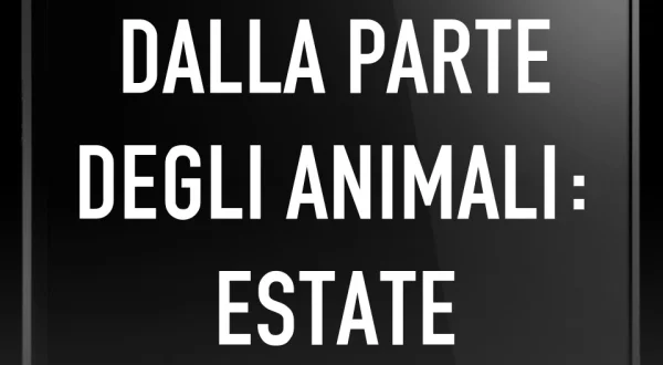 Dalla parte degli animali: Estate
