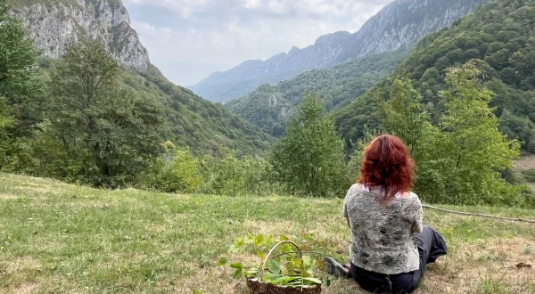 Wildes Rumänien – Unterwegs auf der Via Transilvanica: Bis zur Donau