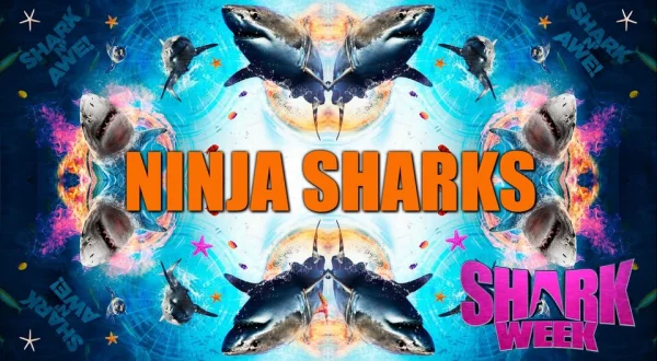 Ninja Sharks