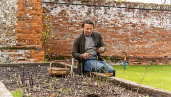Jamie Oliver: Jahreszeiten