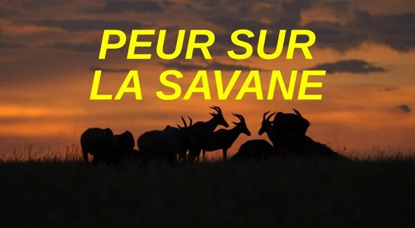 Peur sur la savane
