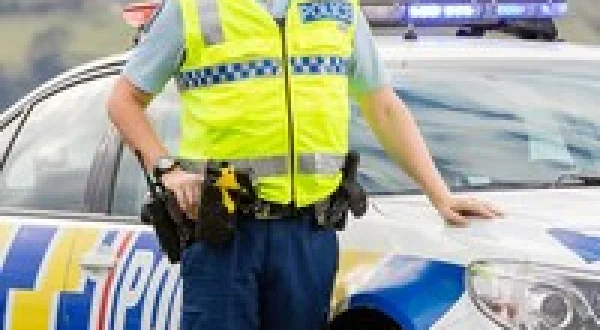 Highway Cops