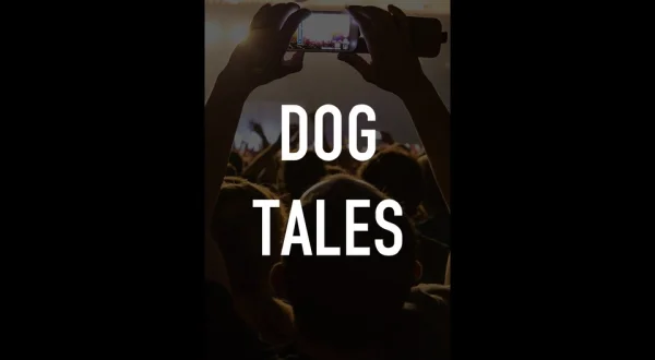 Dog Tales