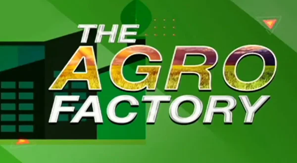 The Agro Factory