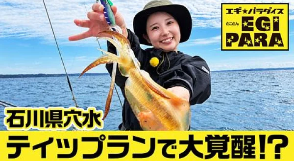 とことんエギパラダイス 175 石川県穴水の旅