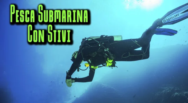 Pesca submarina con estivi