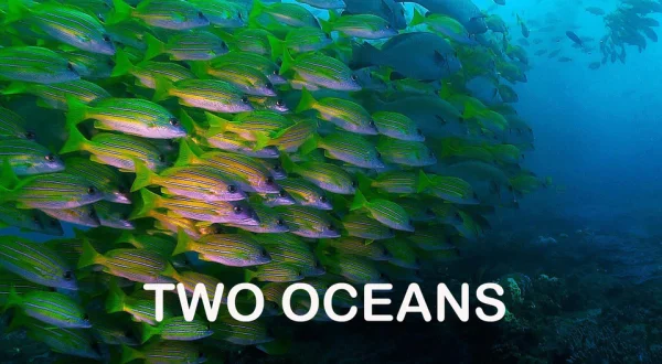 Two Oceans