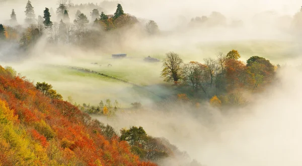 Σκωτία: Η Νέα Αγρια Φύση | Scotland: The New Wild