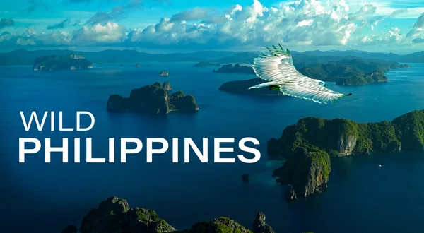 Wild Philippines