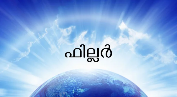फिलर