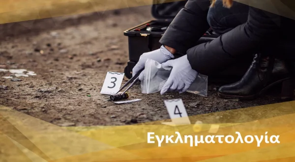 Η Γέννηση ενός Δολοφόνου