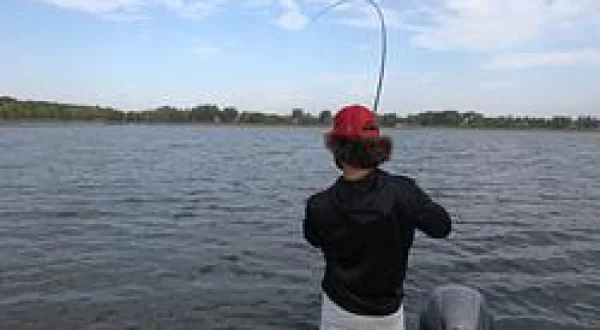 Bass, Bass, and More Bass!