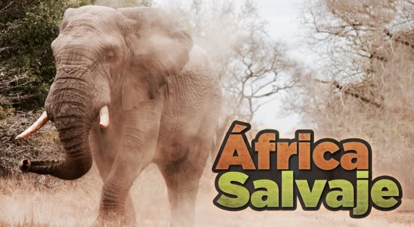 África Salvaje