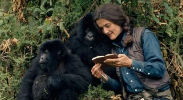 Dian Fossey