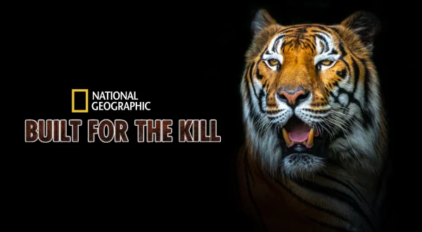 Built For The Kill