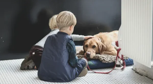 Meine Tierfamilie