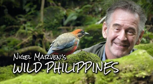 Nigel Marven's Wild Philippines