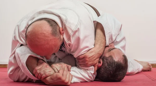 Jiu-jitsu brésilien : UFC BJJ