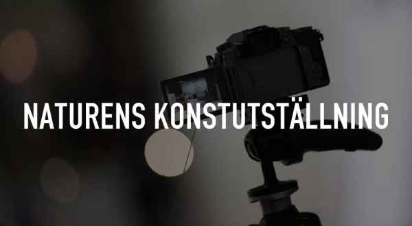 Naturens konstutställning