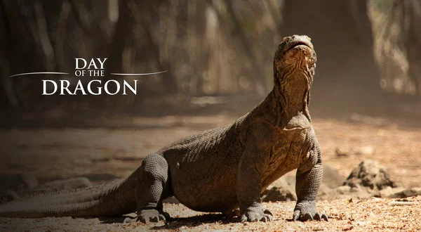 Day of the Dragon