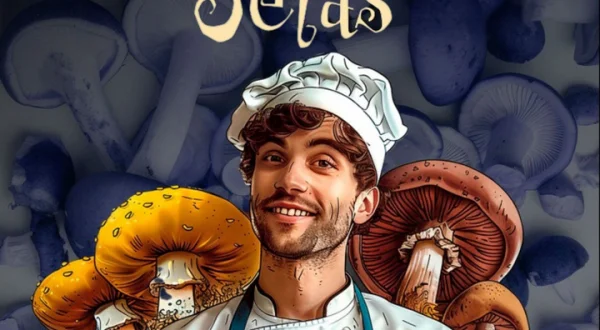 La cocina mágica de las setas