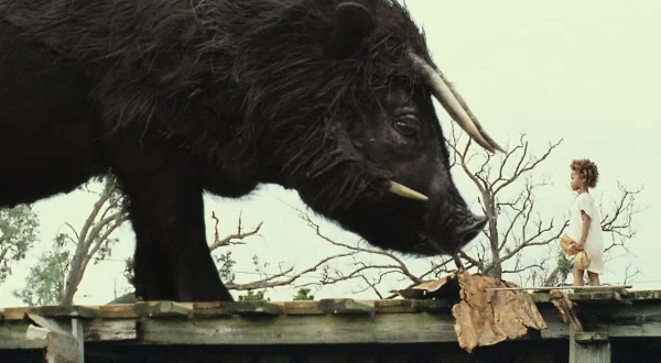 Beasts of the Southern Wild