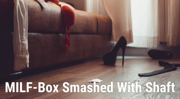 MILF-Box Smashed With Shaft