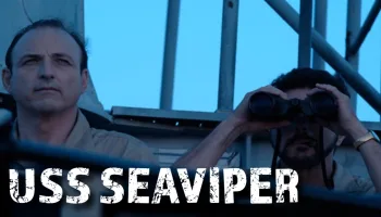 USS Seaviper