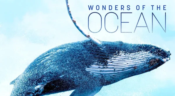 Wonders of the Ocean