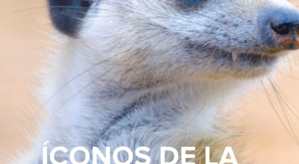 Iconos de la Vida Silvestre