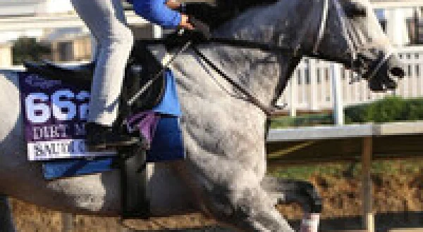 Equitazione