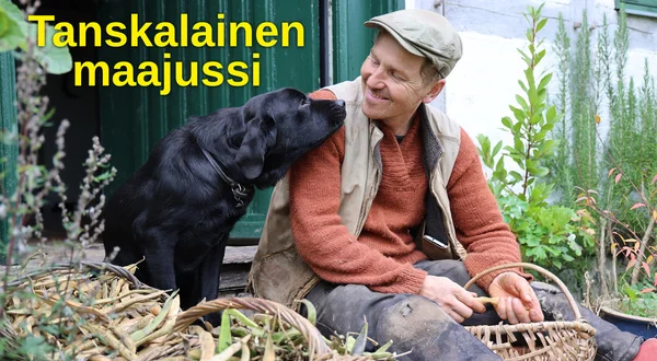 Tanskalainen maajussi