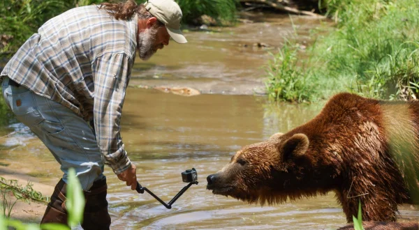 Project Grizzly