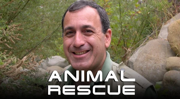 Animal Rescue