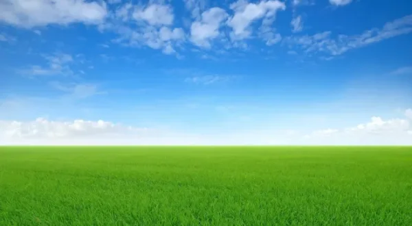 Météo