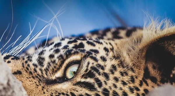 Africa's Hidden Wonders