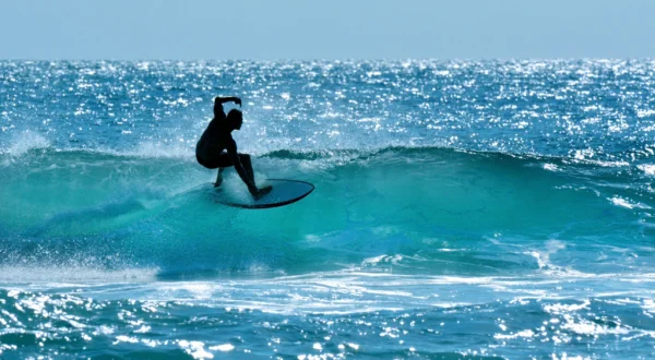 Surfing.es