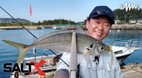 SALT X 29 秋の壱岐島デカアジング