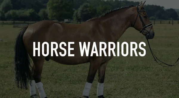 Horse Warriors