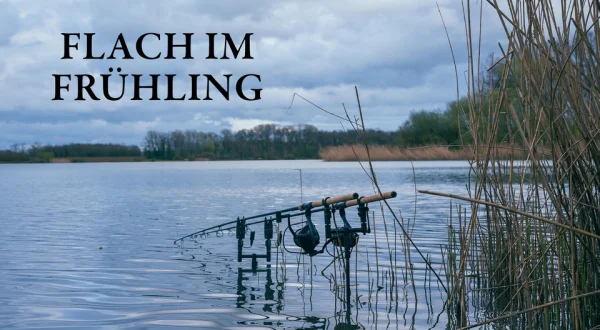 Flach im Frühling