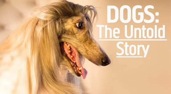 Dogs: The Untold Story