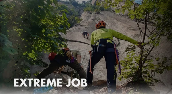 Extreme Job