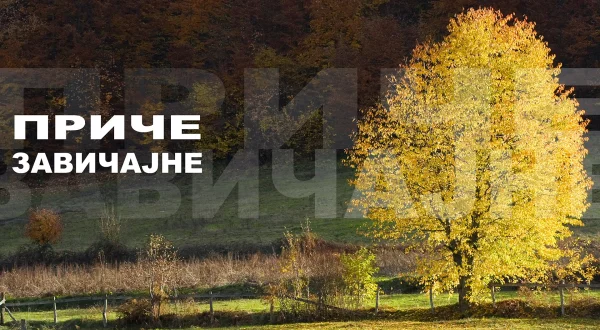 Priče zavičajne
