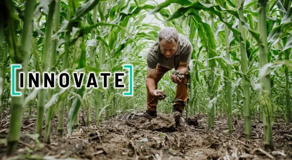 Innovate